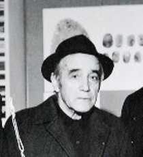 Maccari Mino